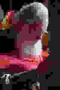 C54I7879