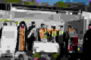 DSC_8596