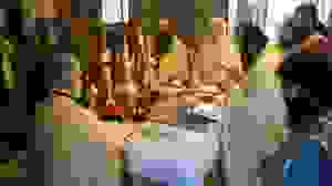 43422186_2167521530172122_773438183110082560_n