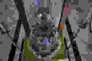 43422561_2167516766839265_680488605424025600_n