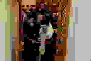 DSC_1266