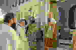 DSC_8565