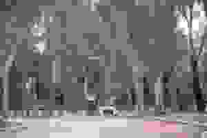 (1)