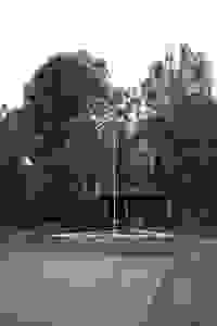 (4)