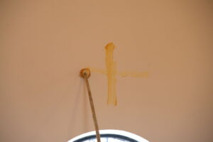 DSC_6005