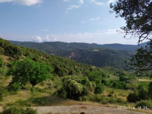 εικόνα_Viber_2020-07-04_21-36-10